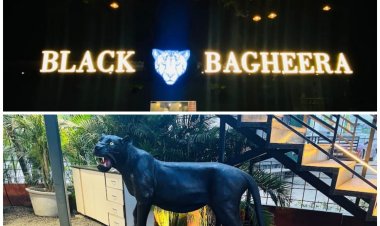 Black Bagheera - for 1st birthday parties to 50th birthday parties