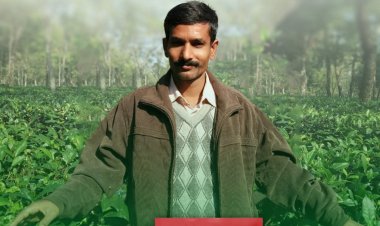 Experience the Essence of Nature with Natural Nirvana