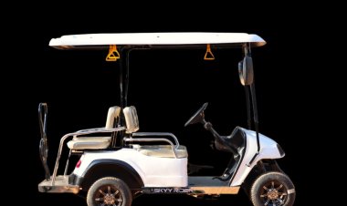 Electrifying Institutional India: Skyy Rider Electric Leads the Charge in Green Campus Mobility