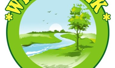 Human Algorithm: Blending AI and Human Clarity for the Future of Digital Strategy