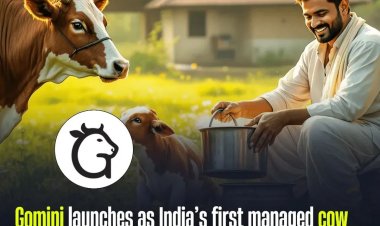 Gomini Introduces Transparent Cow Adoption Model in Bihar