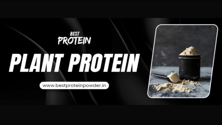 How Plant Protein Supports Weight Loss and Muscle Gain?