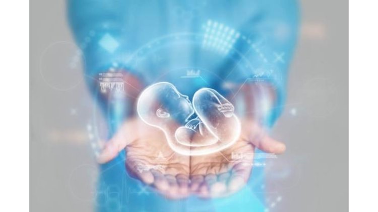 IVF Treatment in India How Much Does it Cost