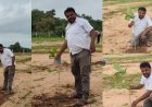 A true custodian of nature, Jaggu Dada's inspiring resolve to plant 111 Mahuda trees