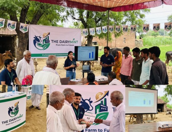 Understanding The DairyMint's Modern Dairy Business Model
