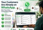 ALL DIGI MKT Brings Integrated Digital Solutions to Businesses Seeking Stronger Digital Growth