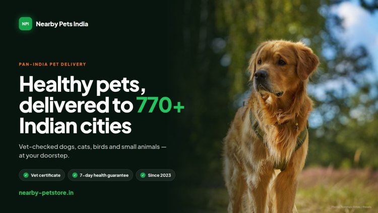 From a Small Office in Punjab to Homes Across India: The Nearby Pets India Story